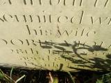 image of grave number 750732